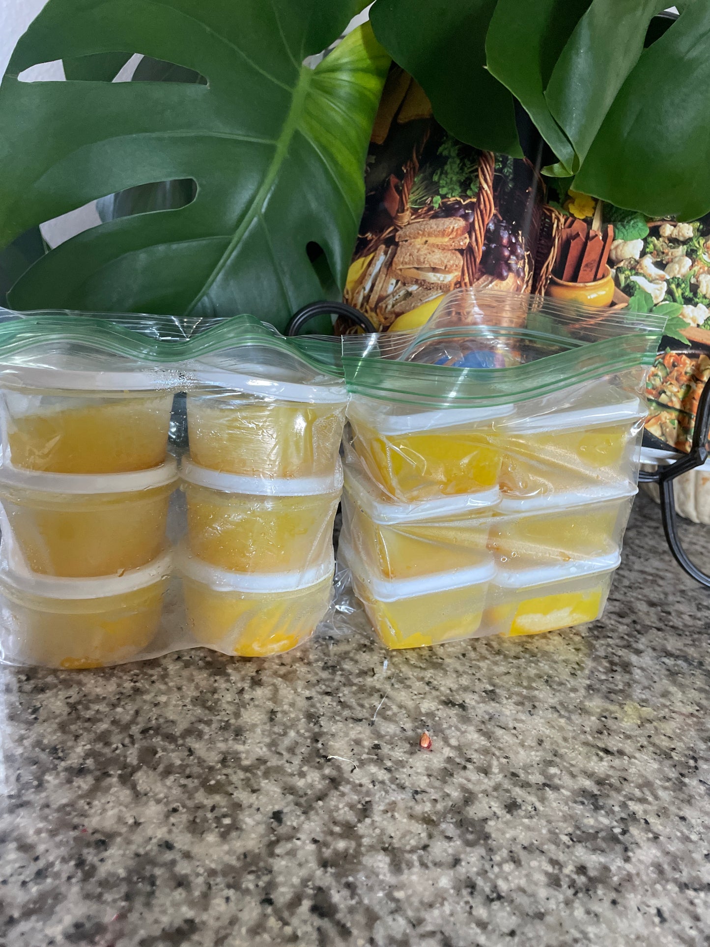 6pack Wellness Shots